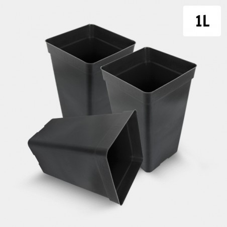 Confezione Vaso Quadrato 1L - GB The Green Brand