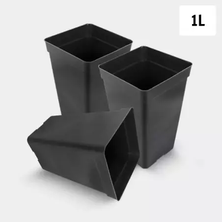 Confezione Vaso Quadrato 1L - GB The Green Brand