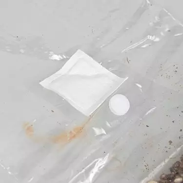 Busta di Coltivazione di Funghi- GB The Green Brand