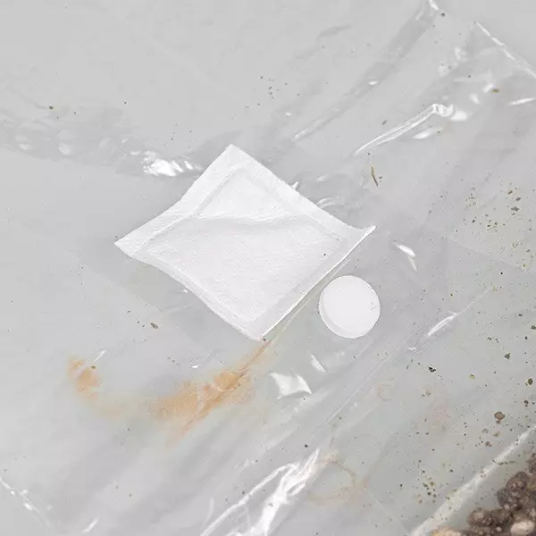 Busta di Coltivazione di Funghi- GB The Green Brand