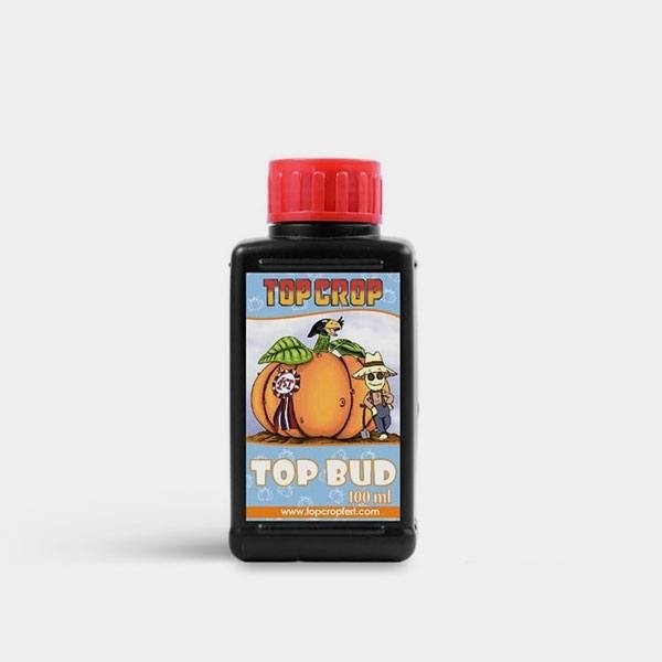 Visualizzazione top bud 1