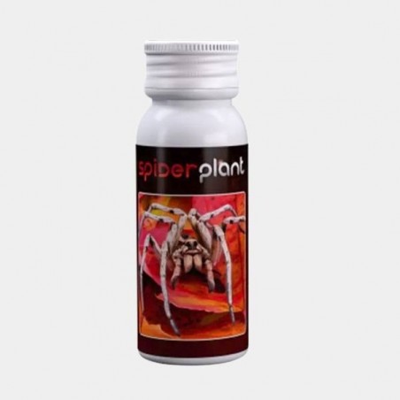 Spiderplant acaricida di Agrobacterias