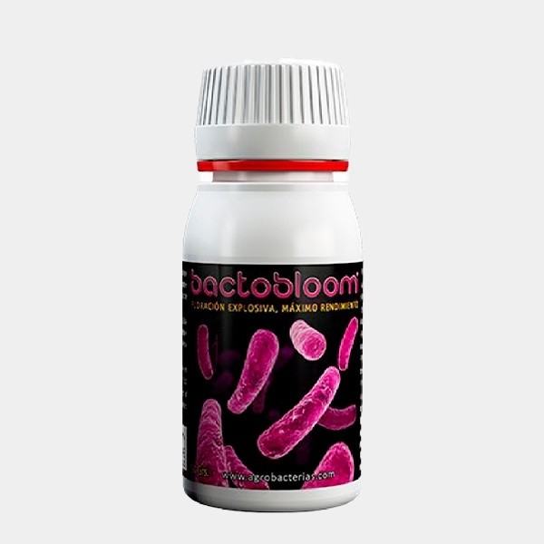 Bactobloom fioritura