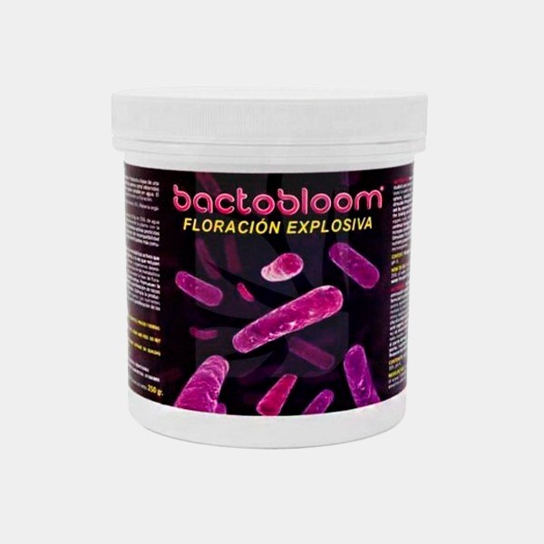 Bactobloom fioritura