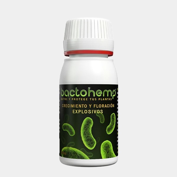 Bactohemp crescita