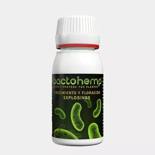 Bactohemp crescita