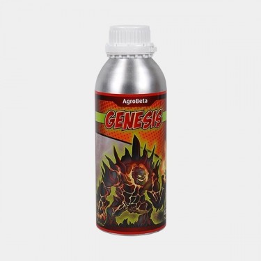 Genesis