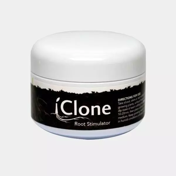 IClone Gel