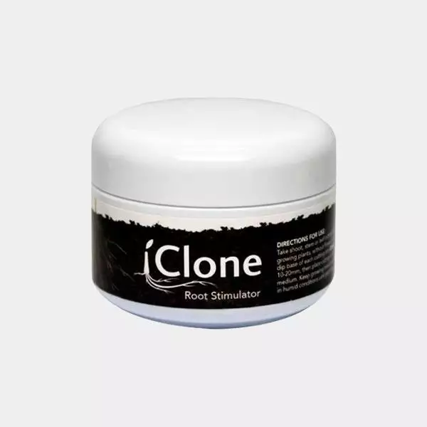 IClone Gel