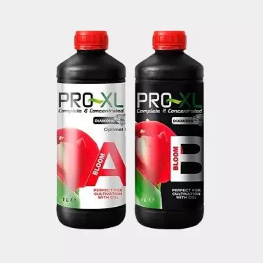 Bloom A+B fertilizzante fioritura di Pro XL.