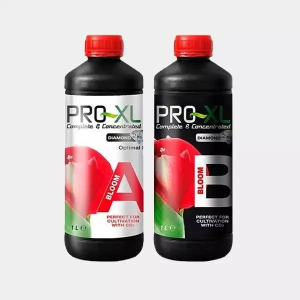 Bloom A+B fertilizzante fioritura di Pro XL.