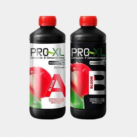 Bloom A+B fertilizzante fioritura di Pro XL.