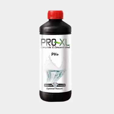 Ph+ prodotto per regolare il pH di Pro XL.