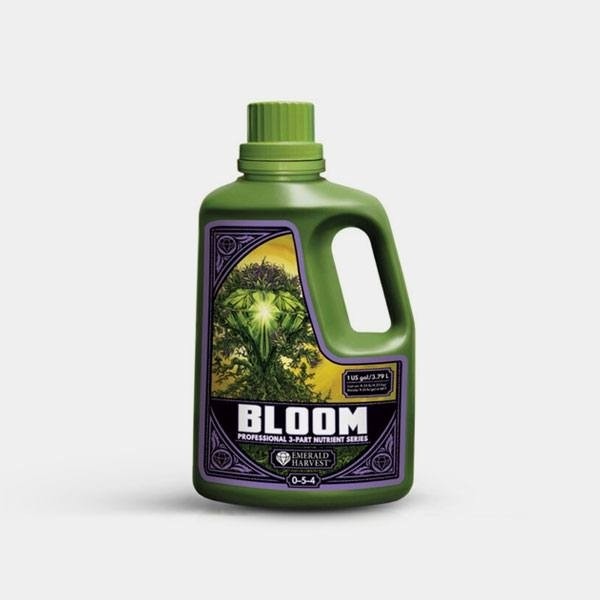Bloom Prof 3 Parti