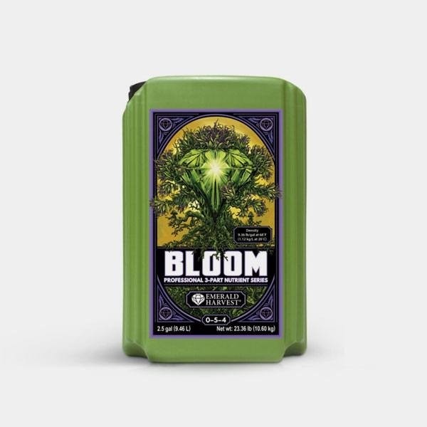 Bloom Prof 3 Parti