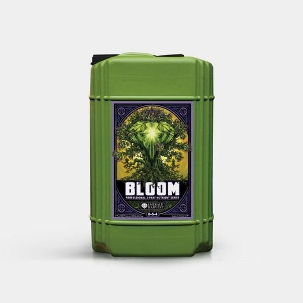 Bloom Prof 3 Parti