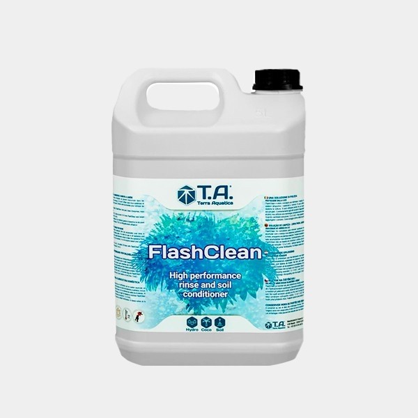 Flora Kleen