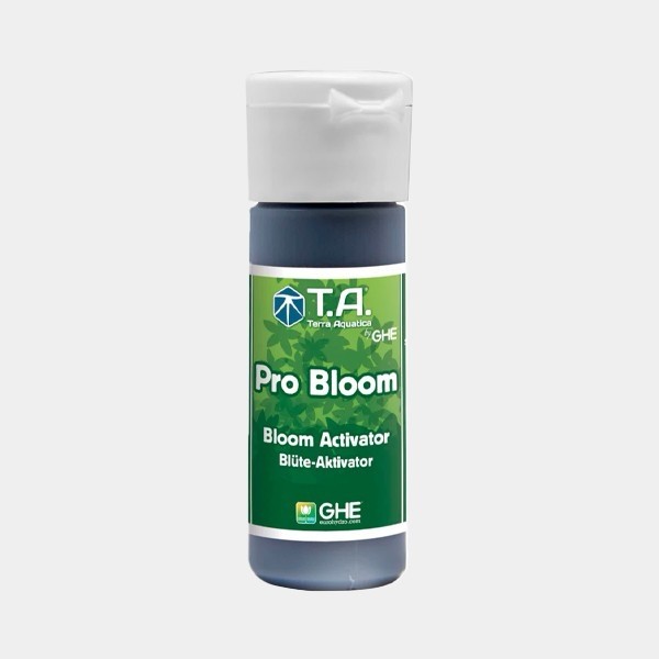 Visualizzazione G.H. Bloom stimolatore polivalente diGHE