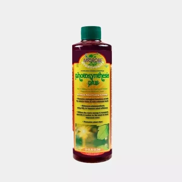 Visualizzazione Photosynthesis Plus di Microbe Life