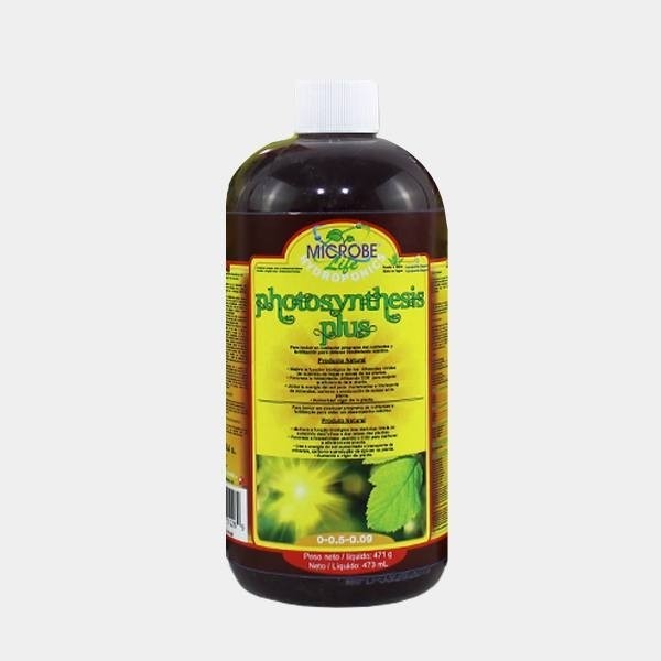 Photosynthesis Plus Microbe Life