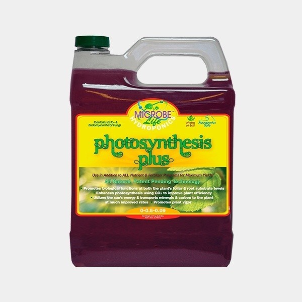 Photosynthesis Plus Microbe Life