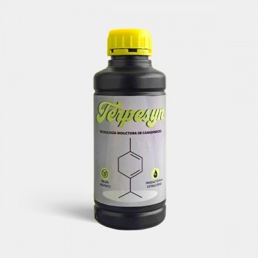 Terpesyn