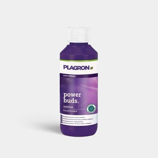 Visualizzazione Power Buds di Plagron - GB The Green Brand