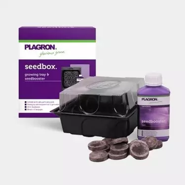 SeedBox kit per germinare semi Plagron.