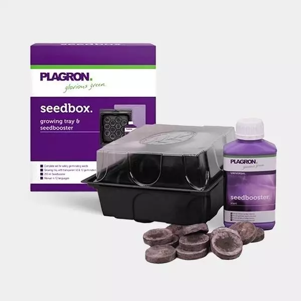 Visualizzazione SeedBox kit per germinare semi Plagron.