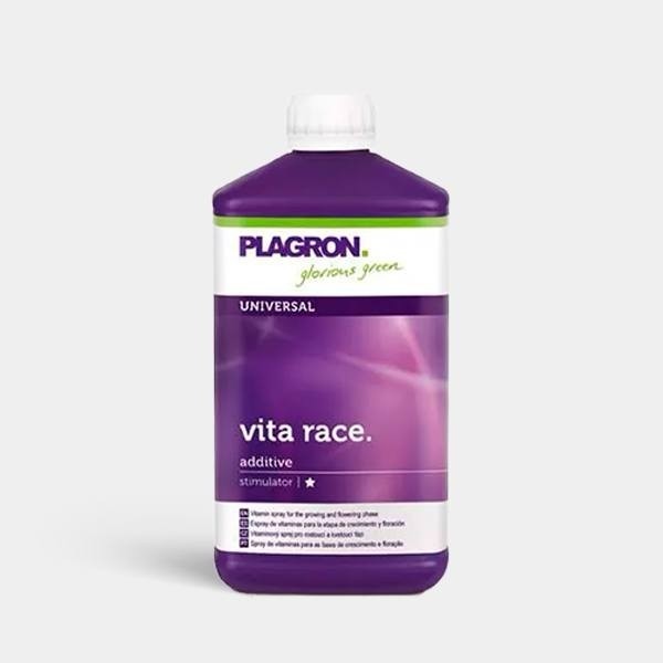 Vita Race