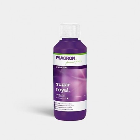 Sugar Royal fase fioritura di Palgron.