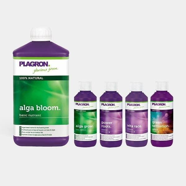 Top Grow Box Bio kit biologico di Plagron.