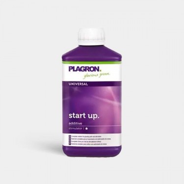 Start Up
