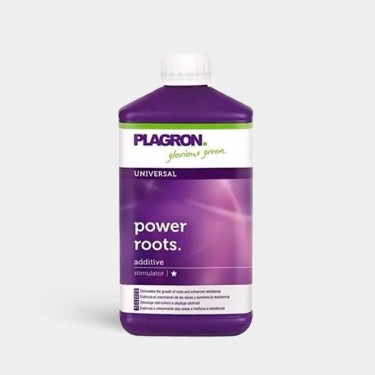 Power Roots