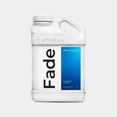 Athena Fade- GB The Green Brand