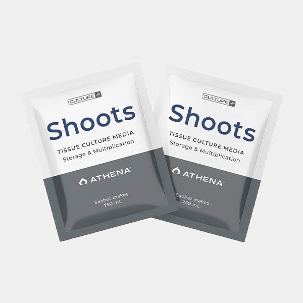 Visualizzazione Shoots Culture Media Athena- GB The Green Brand