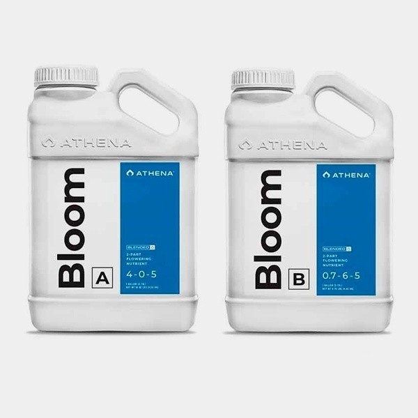 Visualizzazione Athena Bloom A+B - GB The Green Brand
