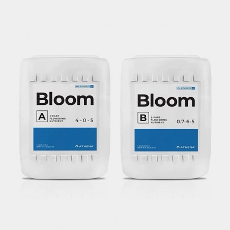 Athena Bloom A+B - GB The Green Brand