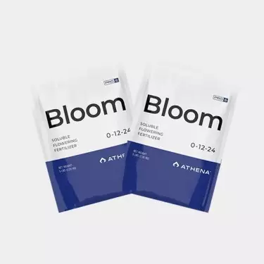 Athena Pro Bloom- GB The Green Brand
