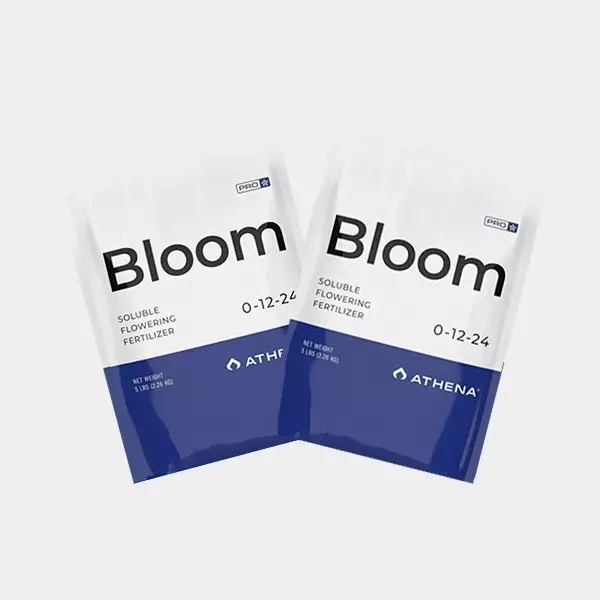 Visualizzazione Athena Pro Bloom- GB The Green Brand
