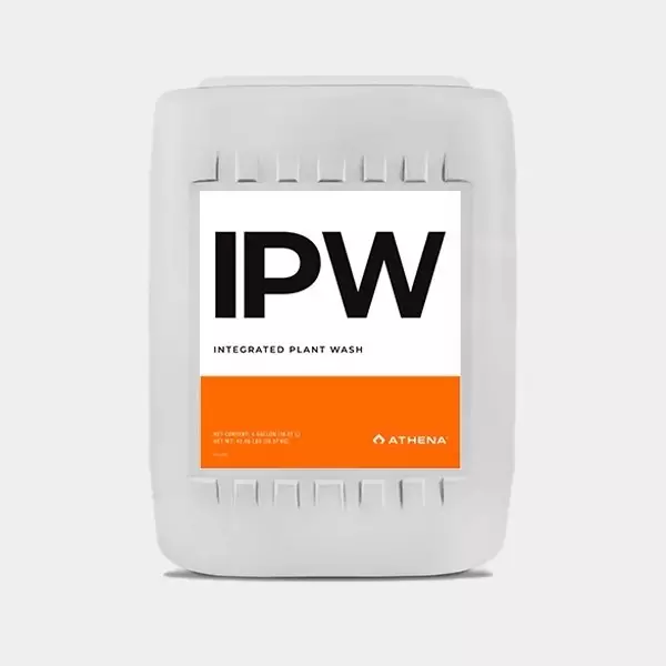 IPW Athena