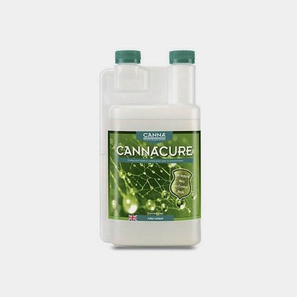Visualizzazione Canna Cure il protettore di piante di Canna