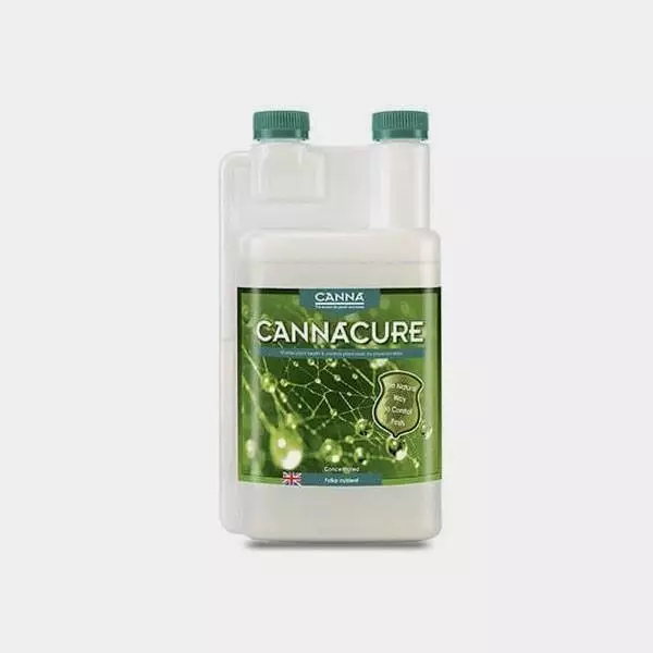 Canna Cure il protettore di piante di Canna