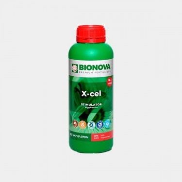 BN X-ceL
