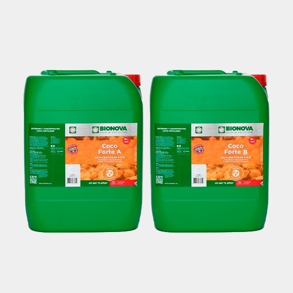 Coco Forte A+B