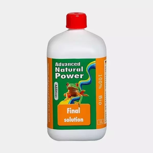 Final Solution Final Solution