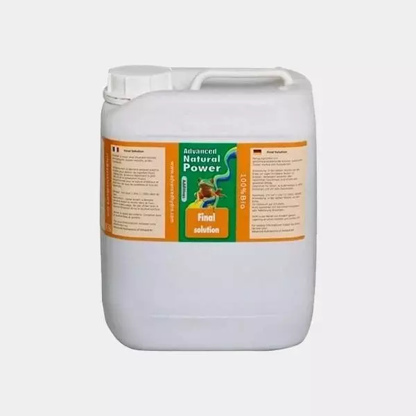 Final Solution Final Solution