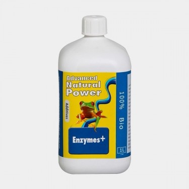 Enzymes+
