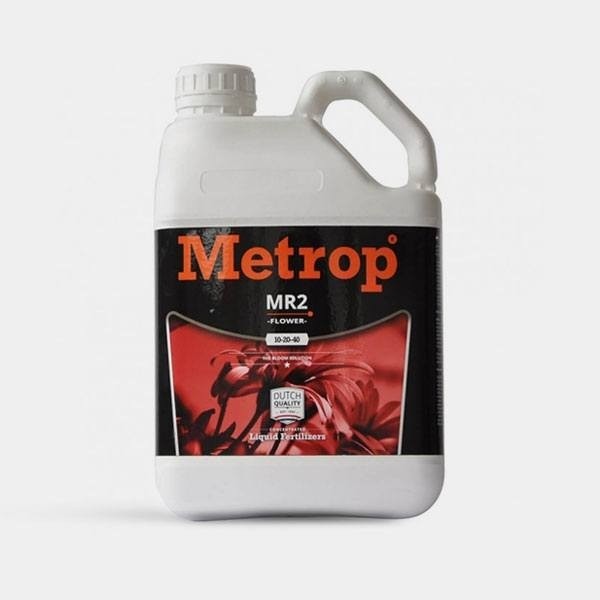 MR-2 fioritura