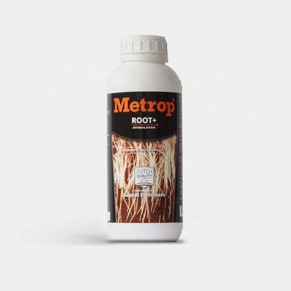 Amino Root